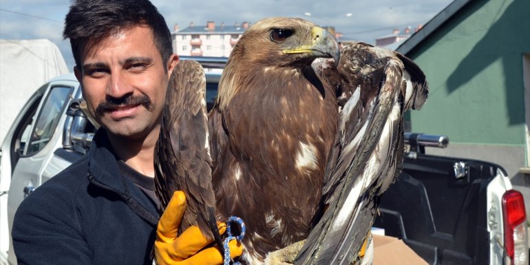Kars'ın doğa koruma ekipleri yaban hayvanları için gece gündüz mesaide