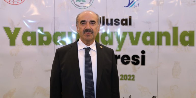 Koruma önlemleri ve bilinçlenmeyle yaban hayatı çeşitliliği artıyor1