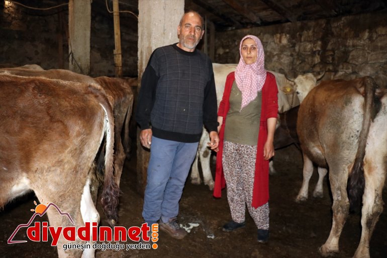 Kültür mantarı yetiştiriyordu devlet desteğiyle hayvancılık yapmaya başladı10