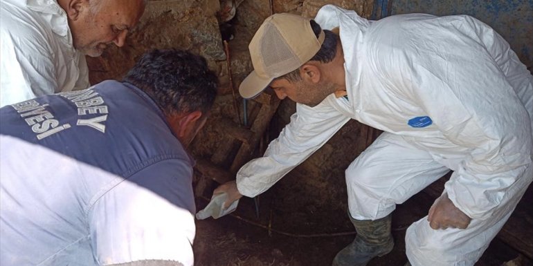 Malatya'da bir mahallede KKKA nedeniyle ilaçlama yapıldı