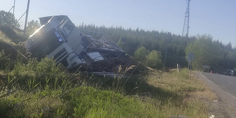 Malatya'da arı kovanı yüklü tır devrildi, 2 kişi yaralandı