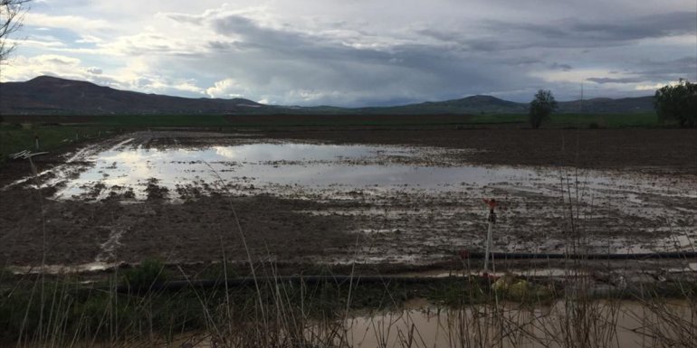 Palu'da sağanak ve dolu bazı ekili alanlara zarar verdi