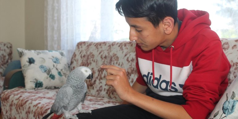 Papağan Ziya can yoldaşı oldu1