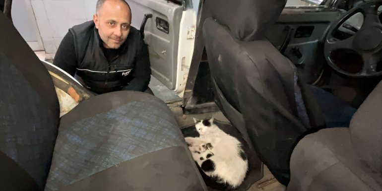 Servis aracını doğum yapan kedi ve yavrularına tahsis etti
