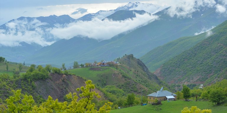 Tunceli'nin 3 bin rakımlı dağ köyleri yeşile büründü