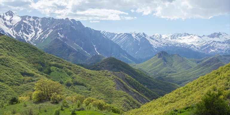 Tunceli'deki Salördek Ormanları doğa tutkunlarının gezi rotasında