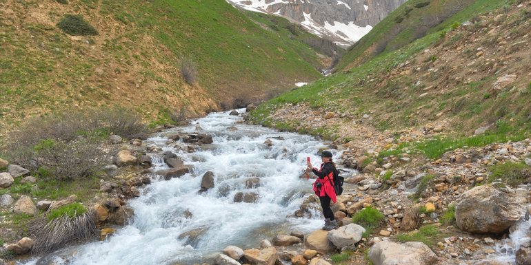 Tunceli'deki Sarıgül Yaylası doğaseverlerin yeni rotası oldu