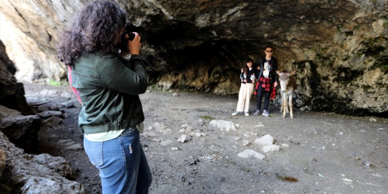 Van'da "1. Van Fotoğraf Maratonu" devam ediyor