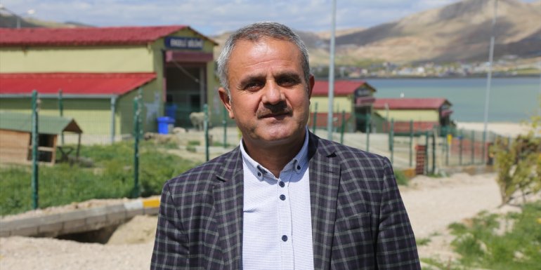 Van'da 45'i pitbull 66 saldırgan köpek koruma altına alındı