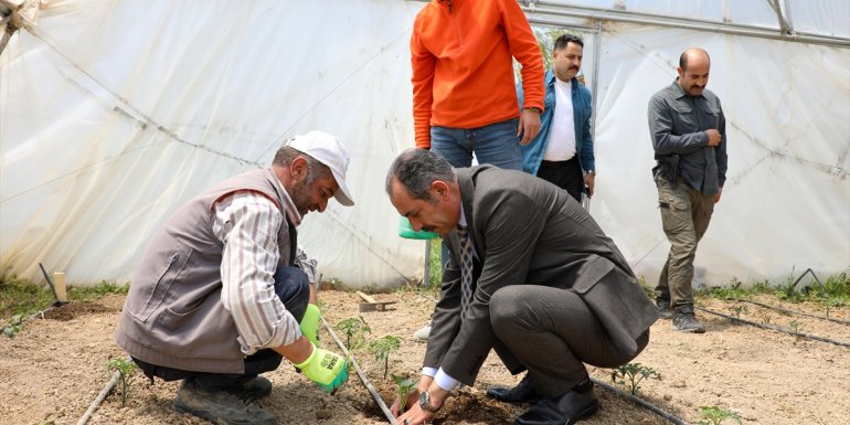 Van'da 5300 fide toprakla buluştu