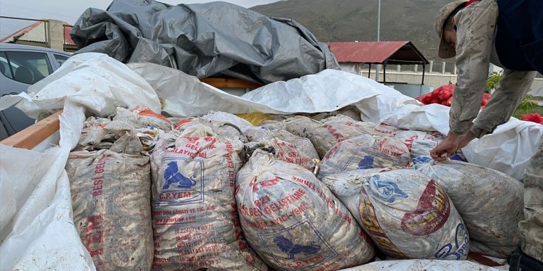 Van'da kaçak avlanılan 11 ton inci kefali ele geçirildi