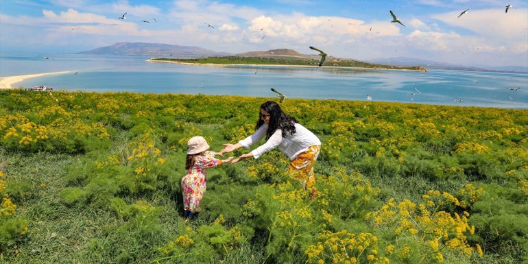 Van Gölü'nün dört adası etkinliklerle tanıtılıyor