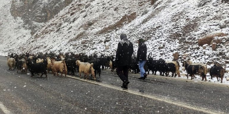 Van'da kar yağışı etkili oldu
