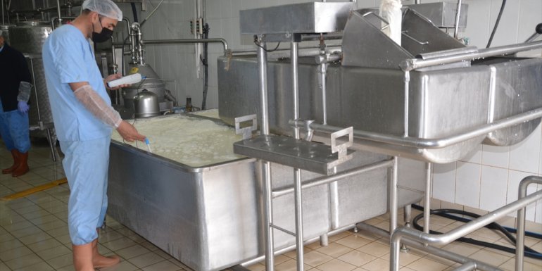 Yüksekova'da üretilen "Çirek peyniri" coğrafi işaret tescil belgesi aldı