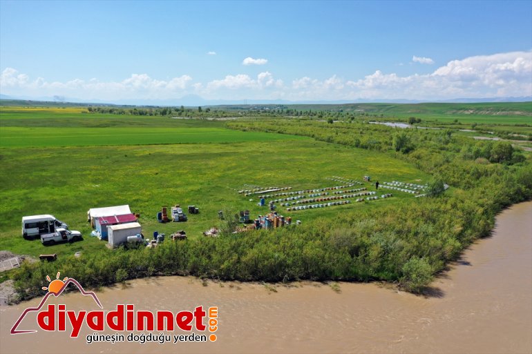 mesaisi Arıcıların geven başladı balı - tescilli AĞRI 1