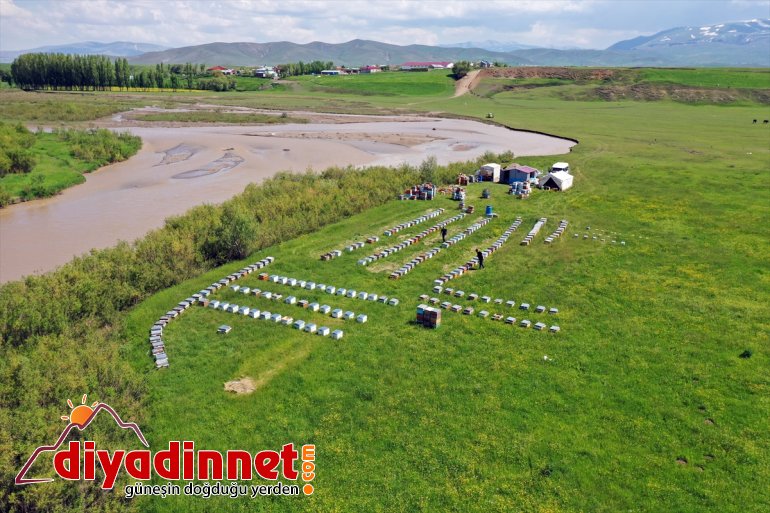 - başladı mesaisi Arıcıların AĞRI geven balı tescilli 2