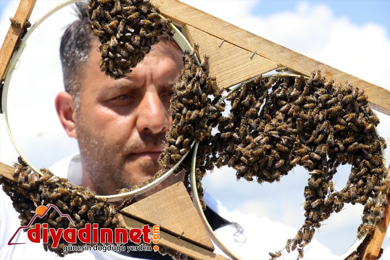 AĞRI mesaisi tescilli balı geven - başladı Arıcıların 18