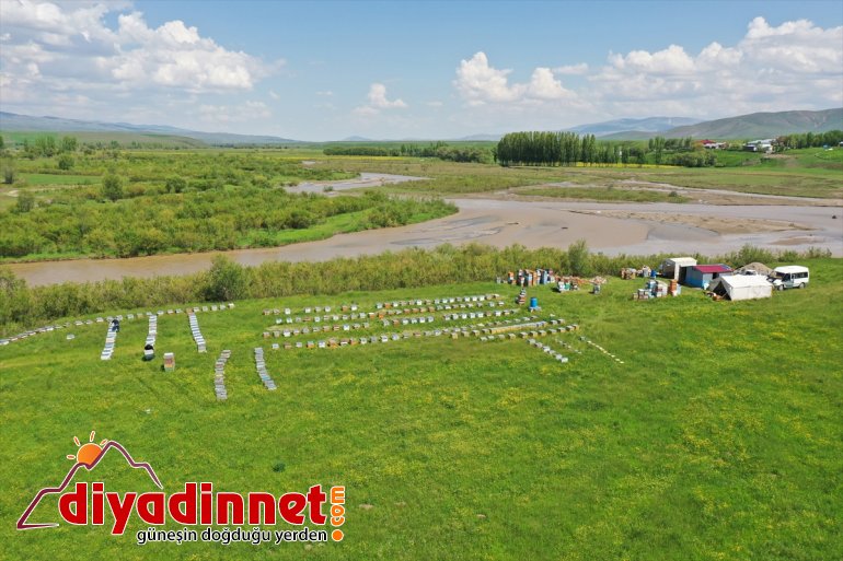 başladı tescilli balı geven Arıcıların AĞRI - mesaisi 3