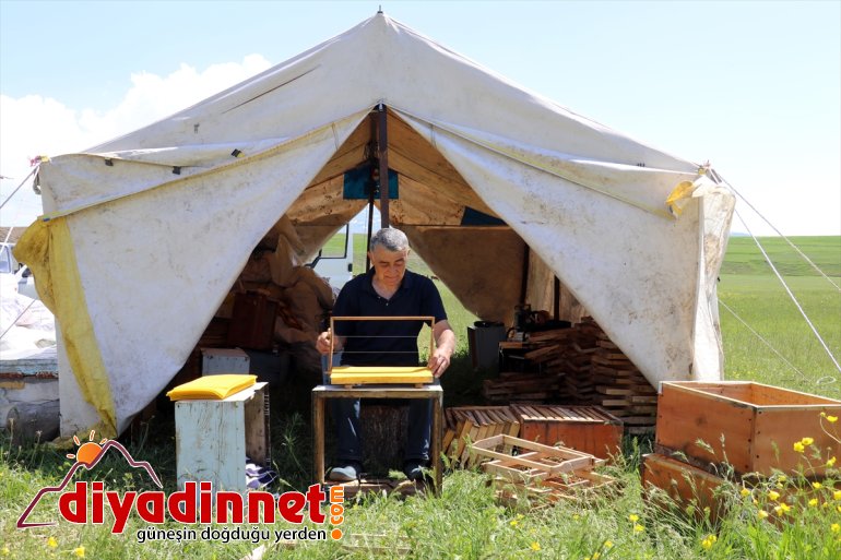 - AĞRI mesaisi tescilli başladı geven Arıcıların balı 24