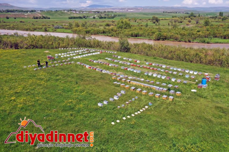 başladı - geven Arıcıların balı AĞRI tescilli mesaisi 4