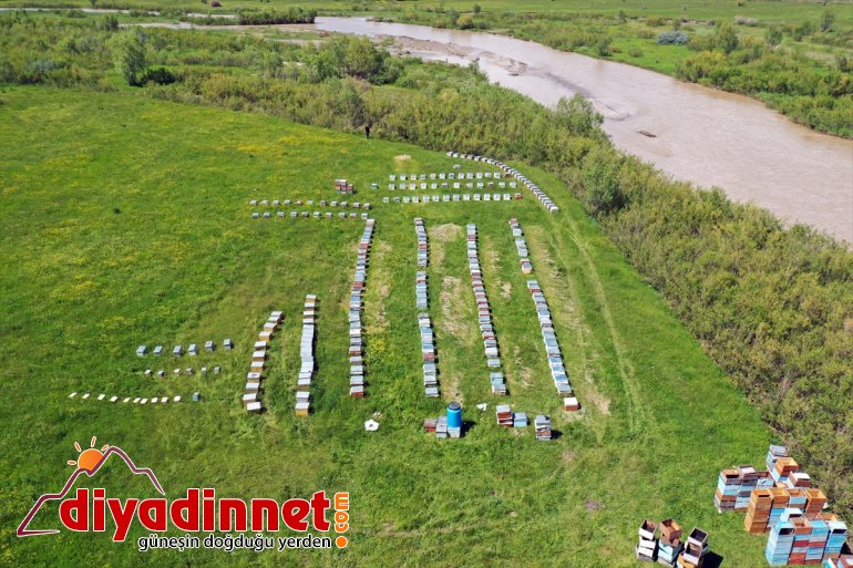 balı Arıcıların geven tescilli başladı - mesaisi AĞRI 5