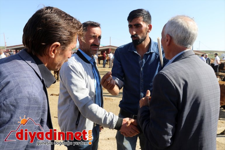 bakılan kurbanlıklar Aylardır AĞRI - pazara indi özenle 7