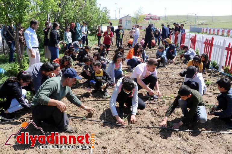 Ağrı'da öğrenciler okulun atıl bahçesini bostana dönüştürüp tarımı öğreniyor