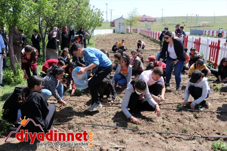 atıl öğreniyor Ağrı