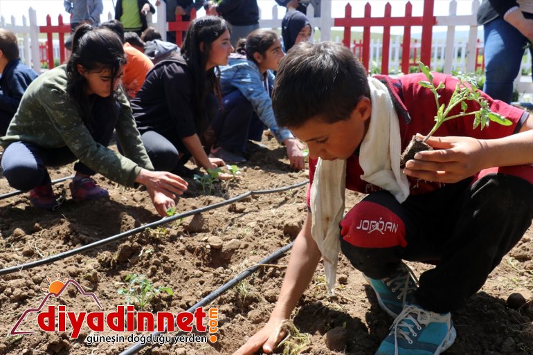dönüştürüp bostana Ağrı