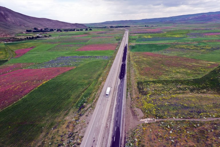 ve tarlalar rengarenk kaplanan dronla Ağrı