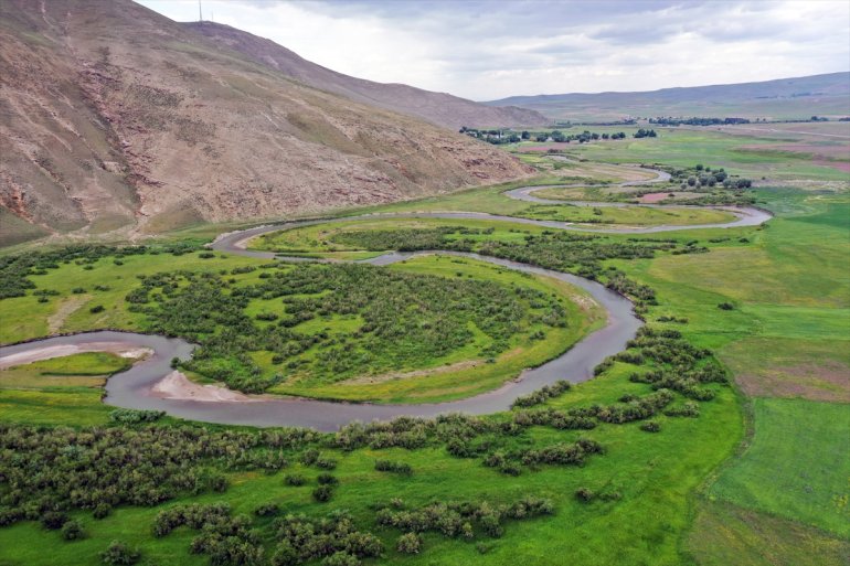 tarlalar rengarenk Ağrı