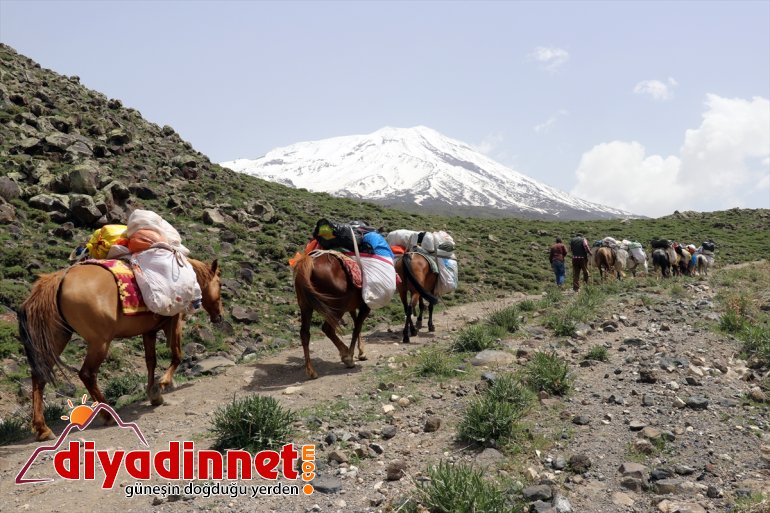 dağcı ağırlıyor kafileleri zirvesiyle Ağrı karlı Dağı 12