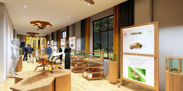 ARDAHAN - Kafkas Arı Konağı ile Kafkas arısı çok yönlü tanıtılıp korunacak1