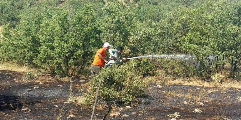 Bingöl'de çıkan orman yangını söndürüldü