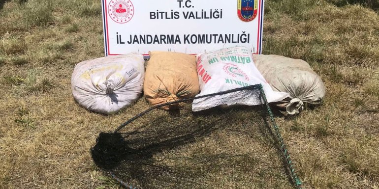 Bitlis'te kaçak avlanılan 2 ton 350 kilogram inci kefaline el konuldu