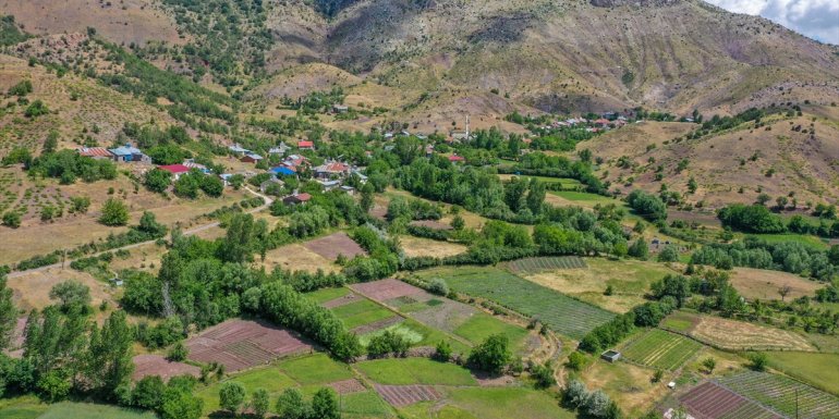 Elazığ'da hasadına başlanan Osmanlı çileği tezgaha inmeden satılıyor