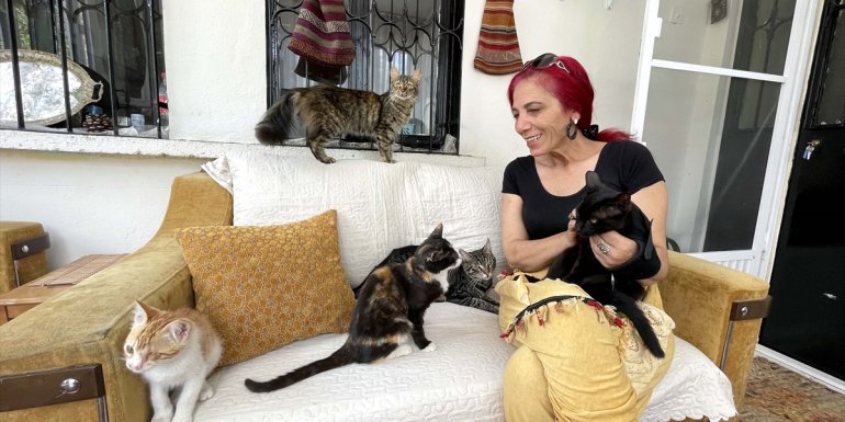 Kardeşinin vasiyeti üzerine yerleştiği köyünde sahipsiz hayvanlara bakıyor