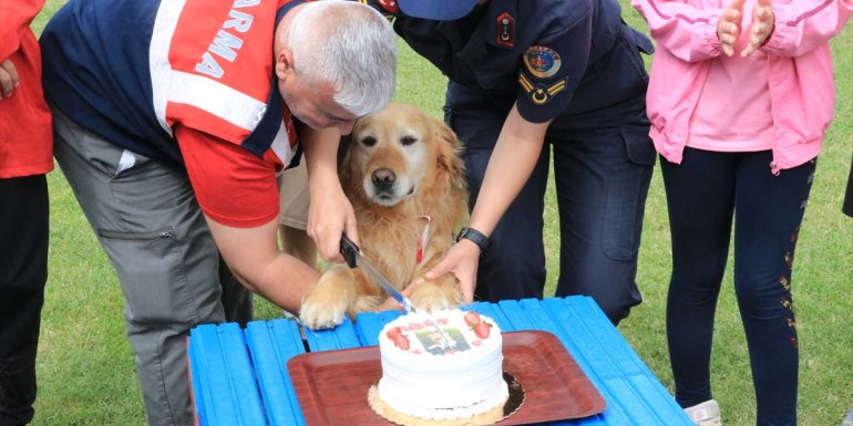 Jandarmanın arama kurtarma köpeği 'Bulut' madalyasını alarak emekli oldu