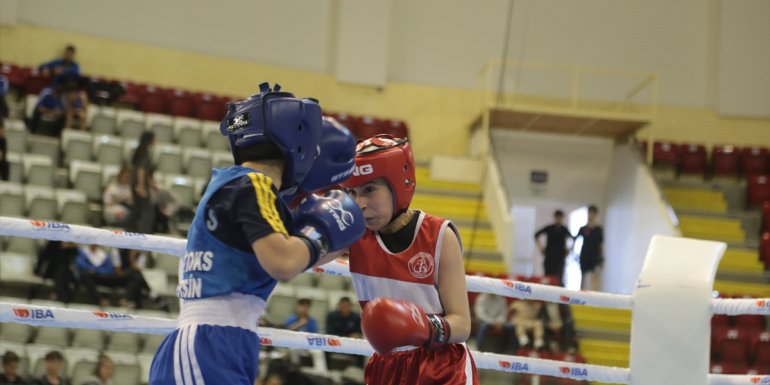 ERZURUM - Üst Minikler Boksun Yıldızları Türkiye Şampiyonası sürüyor1