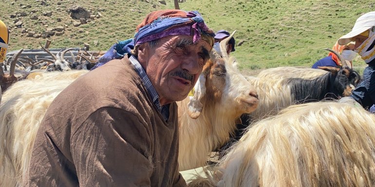 Hakkari'de çiftçiye küçükbaş hayvan desteği
