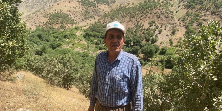 Hakkari'de mera yolları yapıldı