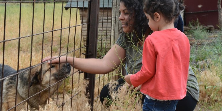 Hayvanseverler Bitlis
