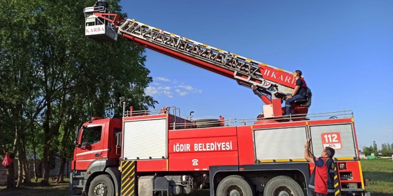 Iğdır'da ağaç dallarına sıkışan kargayı itfaiye ekipleri kurtardı