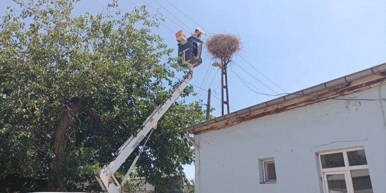 Iğdır'da ayağına ip dolanan leylek yavrusu kurtarıldı