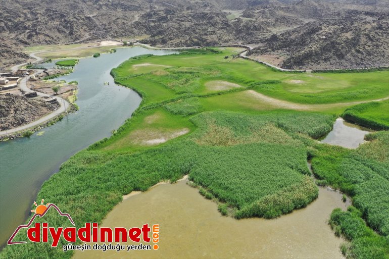 sığınıyor kuşları Parkı