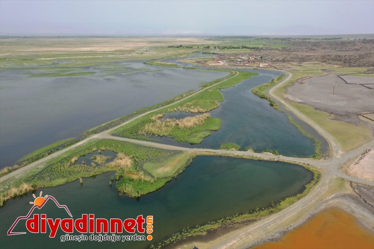 sığınıyor Ağrı Parkı