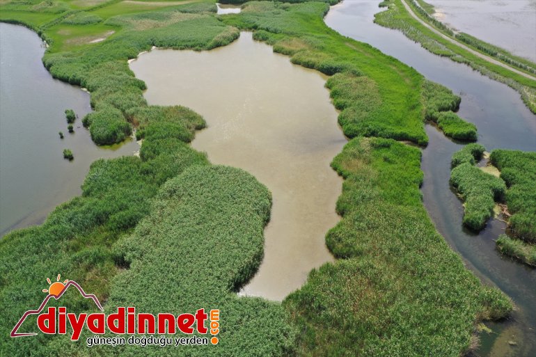 sığınıyor IĞDIR Milli yazın Parkı