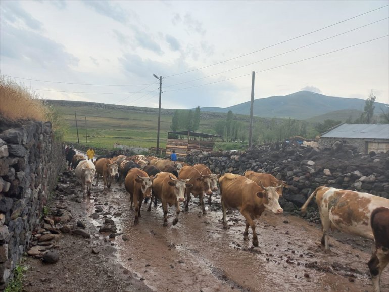 oldu yağış KARS - taşkınlara Digor ilçesinde neden 1