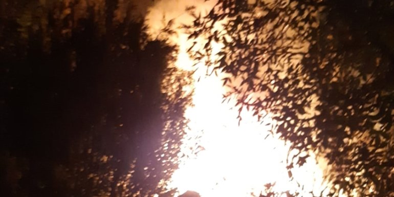 MALATYA - Bağ evinde çıkan yangın söndürüldü1