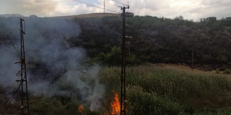 Malatya'da çıkan yangında kayısı bahçesi zarar gördü
